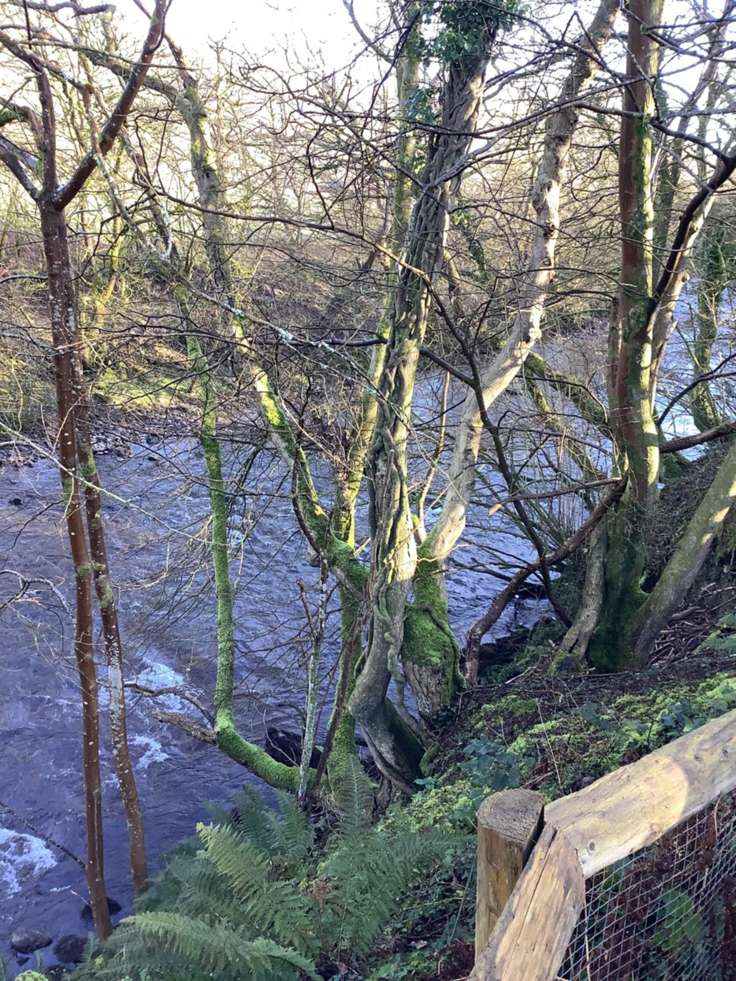 Little London Bed & Breakfast And Glamping Pod Hotell Abercraf Eksteriør bilde
